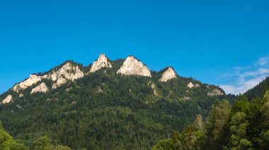 Dunajec Vadisi 'nde geleneksel rafting ve Üç Taç Massif, Pieniny, Polonya manzarası.