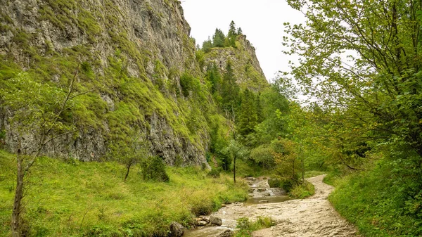 Homole Gorge Pieniny Mountains Polônia — Fotografia de Stock