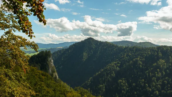 Pieniny Dağlarının Tepesinden Polonya Nın Dunajec Vadisine Yaz Manzarası — Stok fotoğraf