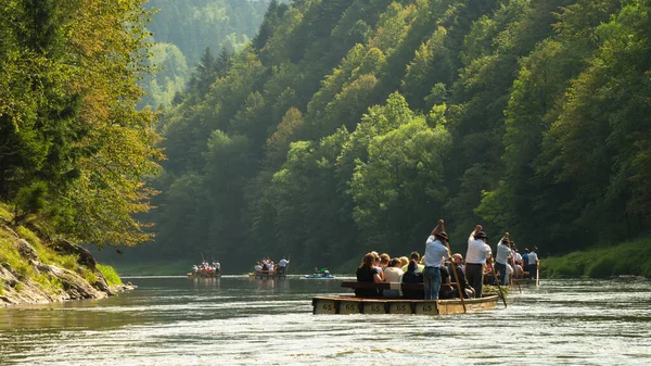 Traditionell Forsränning Dunajec Gorge Pieniny Polen Royaltyfria Stockfoton