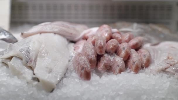 Frutos do mar frescos na exposição de gelo no restaurante de frutos do mar tiro em vermelho — Vídeo de Stock