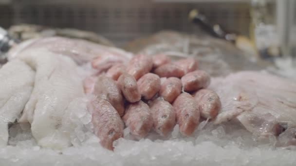 Marisco fresco en la exhibición de hielo en el restaurante de mariscos filmado en rojo — Vídeo de stock