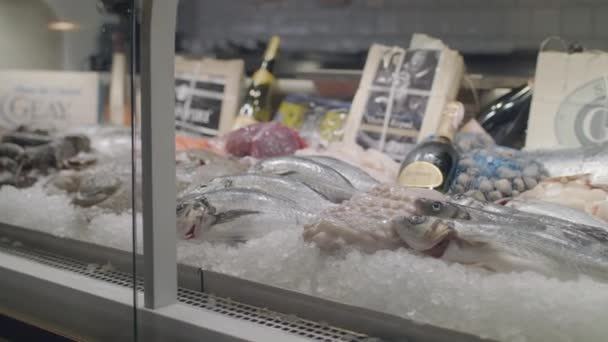 Marisco fresco en la exhibición de hielo en el restaurante de mariscos filmado en rojo — Vídeos de Stock