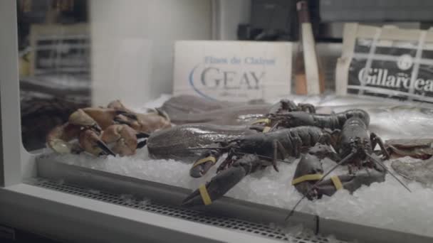 Verse zeevruchten in het Ijsscherm in het visrestaurant geschoten op rood — Stockvideo
