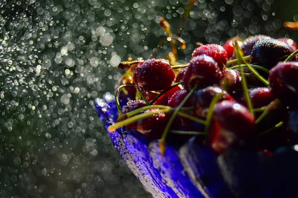 Cereza dulce roja fresca — Foto de Stock