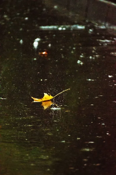 Giorno piovoso in autunno — Foto Stock