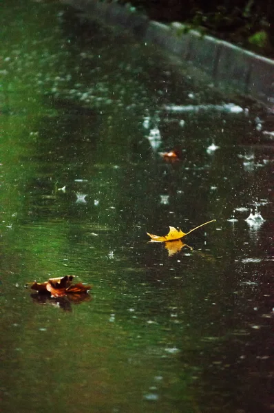 Regenachtige dag in de herfst — Stockfoto