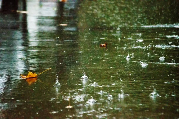 비오는 날의가 — 스톡 사진