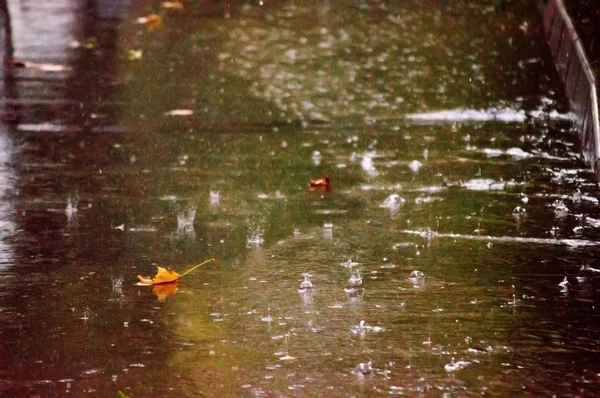 Regenachtige dag in de herfst — Stockfoto