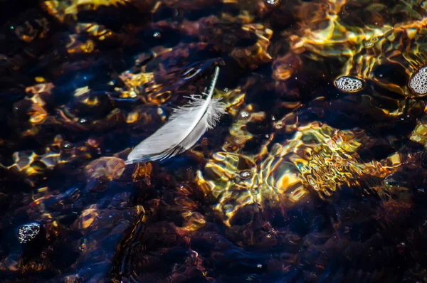 Veer in de zee achtergrond textuur zonnige dag — Stockfoto