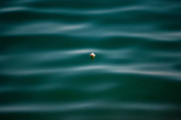 Veer in de zee achtergrond textuur zonnige dag — Stockfoto