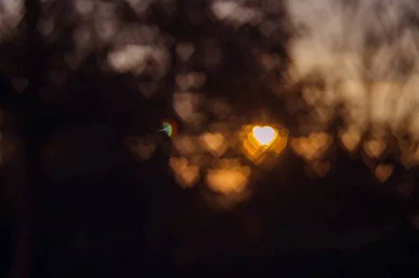 Defocus bokeh licht van zon hart in gebladerte schittering zonsondergang achtergrondstructuur — Stockfoto