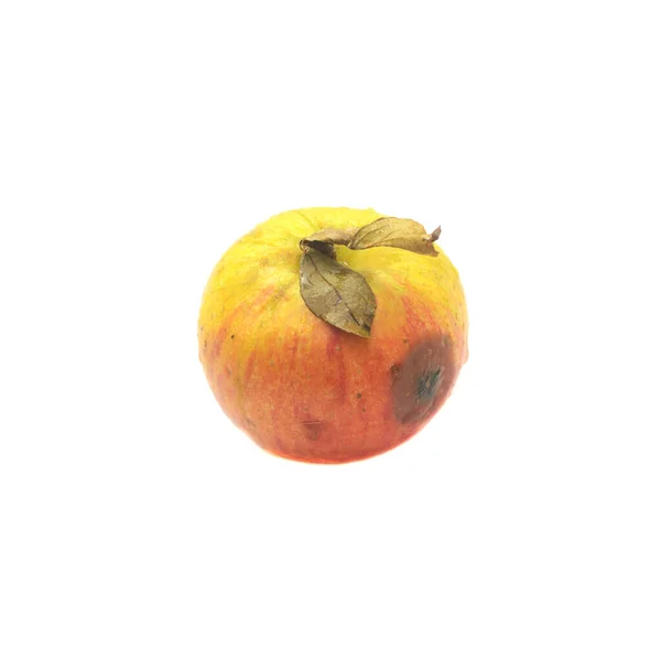 Uma maçã ligeiramente podre isolada no fundo branco — Fotografia de Stock