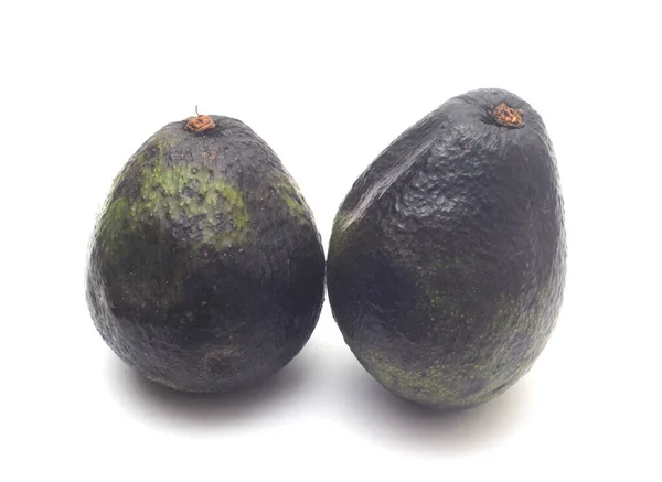 Dois abacates podres inteiros isolados sobre fundo branco — Fotografia de Stock