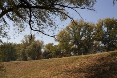 doğa manzara güneşli Nehri yakınında eski köy