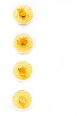 Alchekengi meyve ile tepesinde Creme catalana veya creme brulee satırlarının sol boşaltmak, beyaz bir arka plan karamelize için hazırlanan.