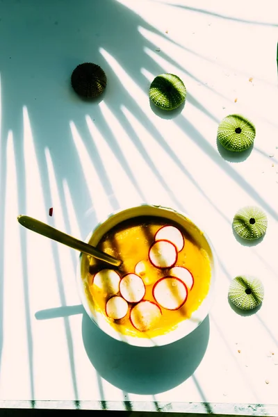 Coconut pumpkin soup with slices of radish, on a white bowl over a white board with tropical plant, and hard shadow, with Green sea urchin seashells — Stock Image Coconut Pumpkin Soup Slices Radish White Bowl White Board Tropical Royalty Free Stock Photos
