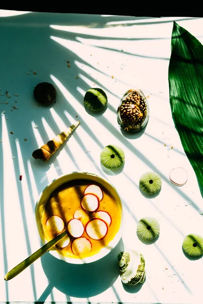 Coconut pumpkin soup with slices of radish, on a white bowl over a white board with tropical plant, and hard shadow, with Green sea urchin seashells — Stock Image Coconut Pumpkin Soup Slices Radish White Bowl White Board Tropical Stock Picture