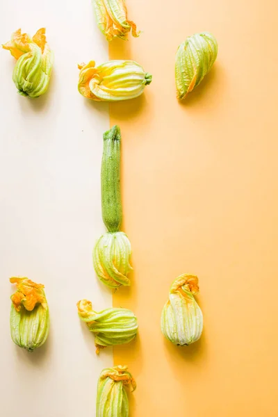 Zucchinis mit Blüte — Stockfoto