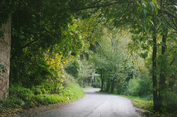 Lege weg in de apian Alpen, Toscane, Italië — Stockfoto