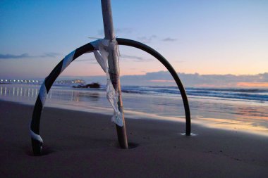 Kışın denizde yalnızlık, vahşi plaj, ağaç terk