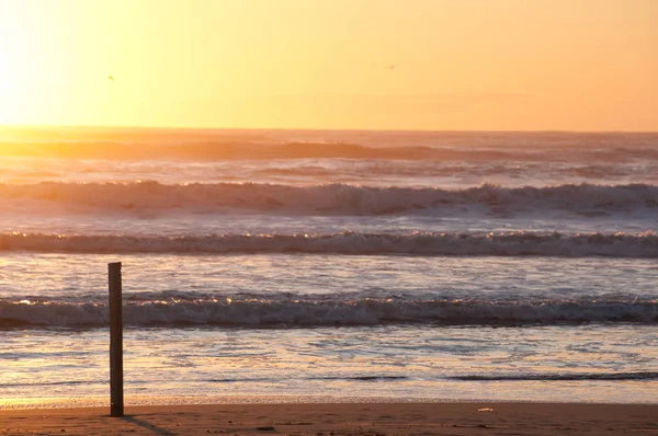 Beach in viareggio, italy — Stock Photo, Image