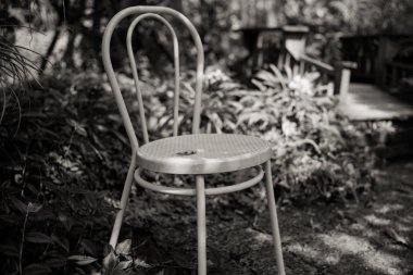 Metal sandalye bahçedeki küçük düşen yaprağı tek renkli resim