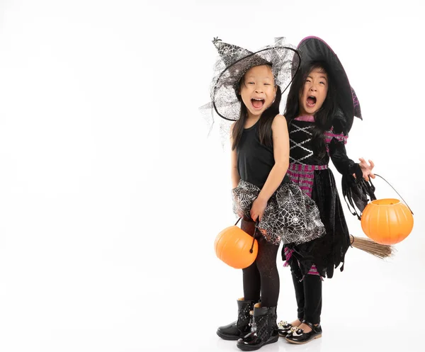 Porträtt Asiatiska Tjejer Halloween Kostym Ridning Kvasten Tillsammans Och Holind — Stockfoto