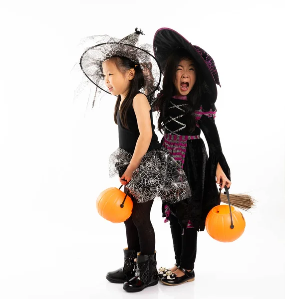 Портрет Азиатские Девушки Костюме Хэллоуина Верхом Метле Вместе Holind Тыкву — стоковое фото