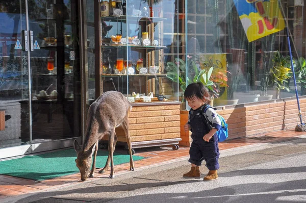 Hakone Japonsko Listopad 2014Portrét Asijské Děvčátko Batohem Hraje Mladou Jelení — Stock fotografie