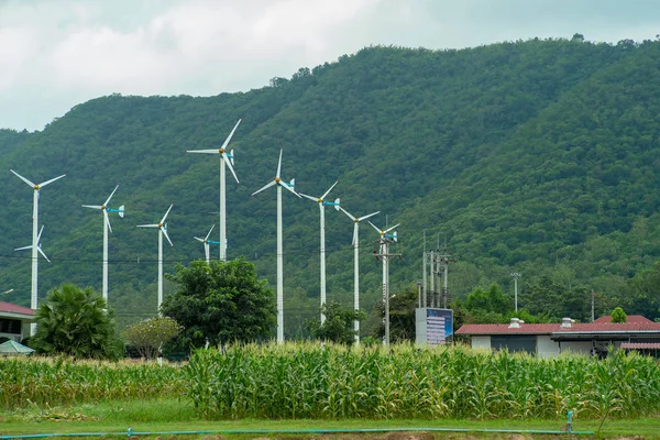Landscape of windmills farm for generating the electricity with mountain in background. Alternative and green energy concept. Sweet corn field in the windmills farm.
