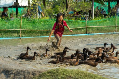 Ratchaburi, Tayland : 20 Ocak 2019 - Çocuklar çiftlikte ördek grubunu kovalamak için çamurla gölette koşmaktan keyif alıyorlar