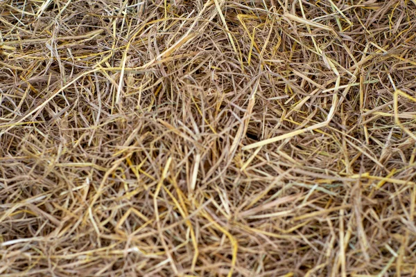 Deodaklanmış ön plan ile saman saman yığını doku ve arka plan soyut resim seçici odak.