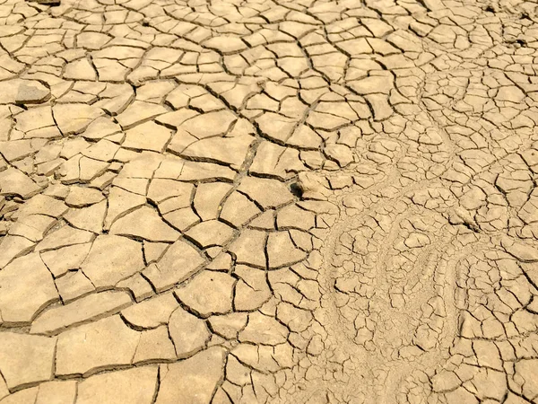 Top view closeup weathered texture and background of arid cracked ground.