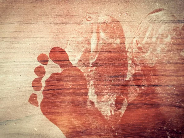 Abstract footprint on the dusty wooden floor — Stock Photo, Image