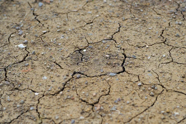 Closeup Top View Arid Land Broken Dried Soil Surface — Stock Photo, Image