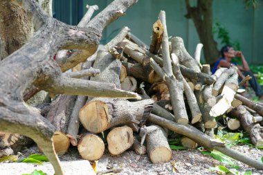 Arka planda bulanık çalışan yakacak odun yığını