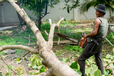 Ağaççının portresi etrafı talaşla kaplı testere makinesiyle kütüğü kesiyor. Elektrikli testerenin hareketi bulanıklaştı