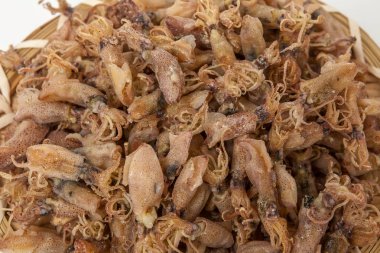 Beyaz bir arka plan üzerinde kurutulmuş mini mürekkep