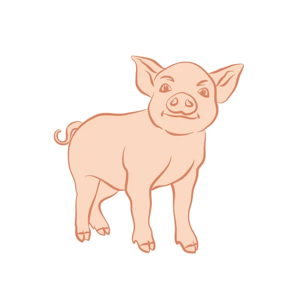 Hand drawn cartoon sketch of funny piggy. 2019 new year symbol. — Stock Vector