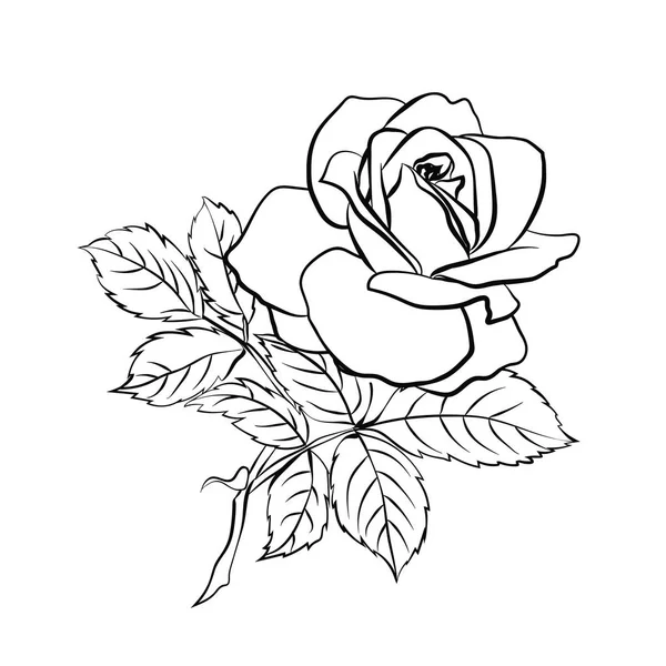 Croquis rose sur fond blanc — Image vectorielle