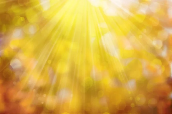 Sunny abstract autumn nature background — Stock Photo, Image