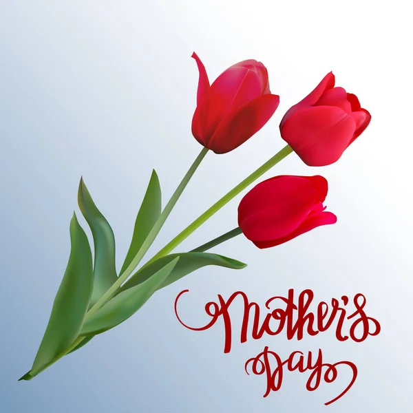 Les tulipes rouges avec carte cadeau Happy Mother s Day . — Image vectorielle
