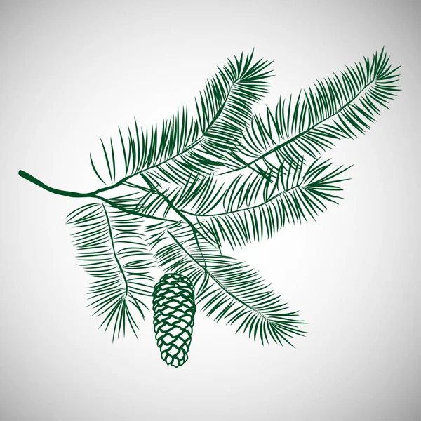 手の描かれた松の木の枝 刻まれたヴィンテージスタイルのインクの図 ベクトル図 — ストックベクタ