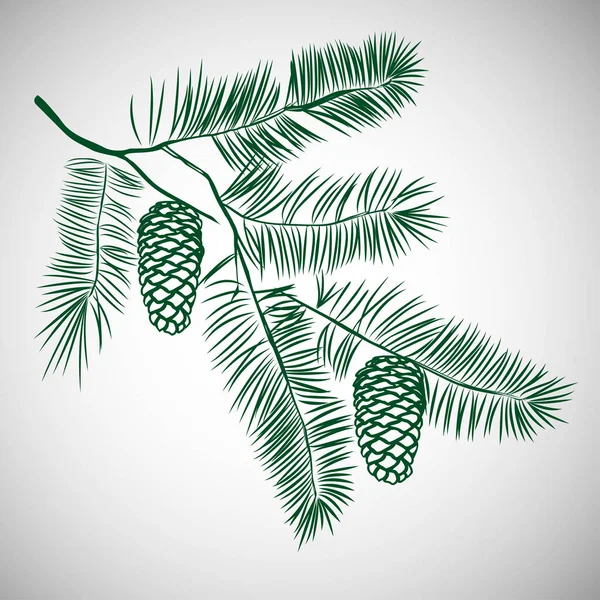 Hand drawn pine tree branch — Stock Vector