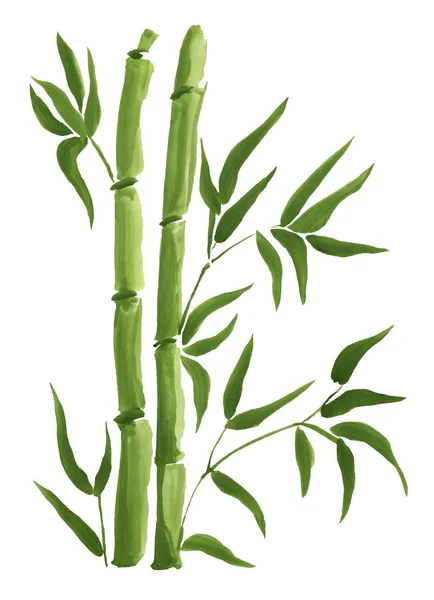 Зеленый бамбук, окрашенный в акварель в восточном стиле — стоковое фото
