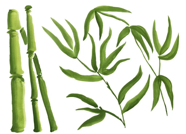 Groene bamboe, geschilderd in aquarel in Orientaalse stijl — Stockfoto