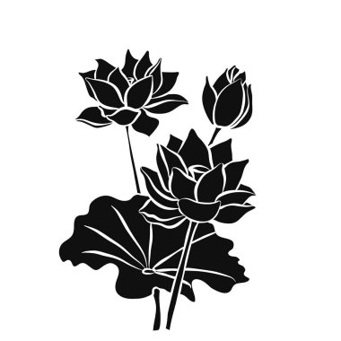 Güzel lotus çiçekleri siyah beyaz zemin üzerine siluet izole