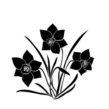 Elegance Model çiçek nergis ile. Beyaz arka planda siyah siluet. Vektör çizim