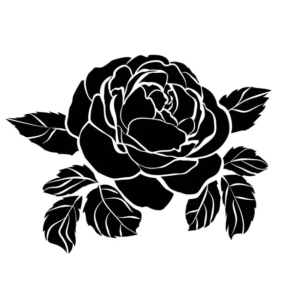 Rosa rosa con hojas verdes aisladas sobre un fondo negro — Archivo Imágenes Vectoriales